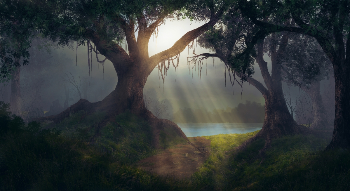 Sun in the forest 5k landscape wallpaper