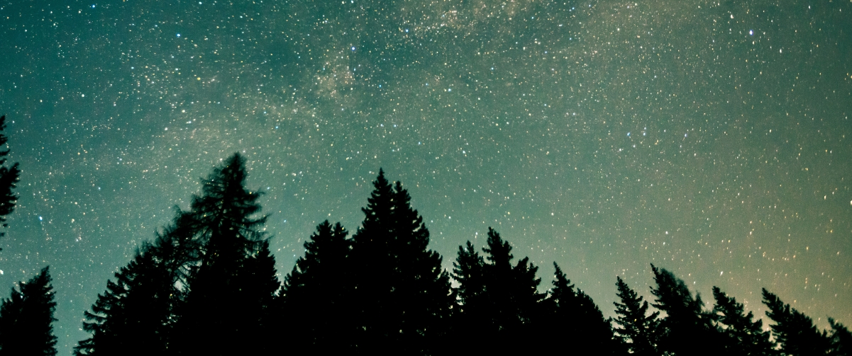 Forest starry sky at night 3440x1440 wind