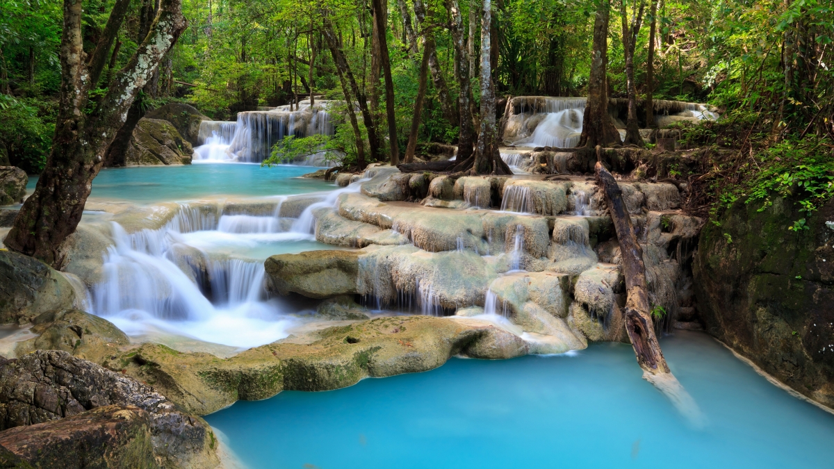 Forest trees mountains rocks creek waterfall