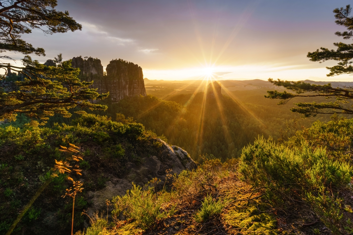 Forest trees mountain rock cliff