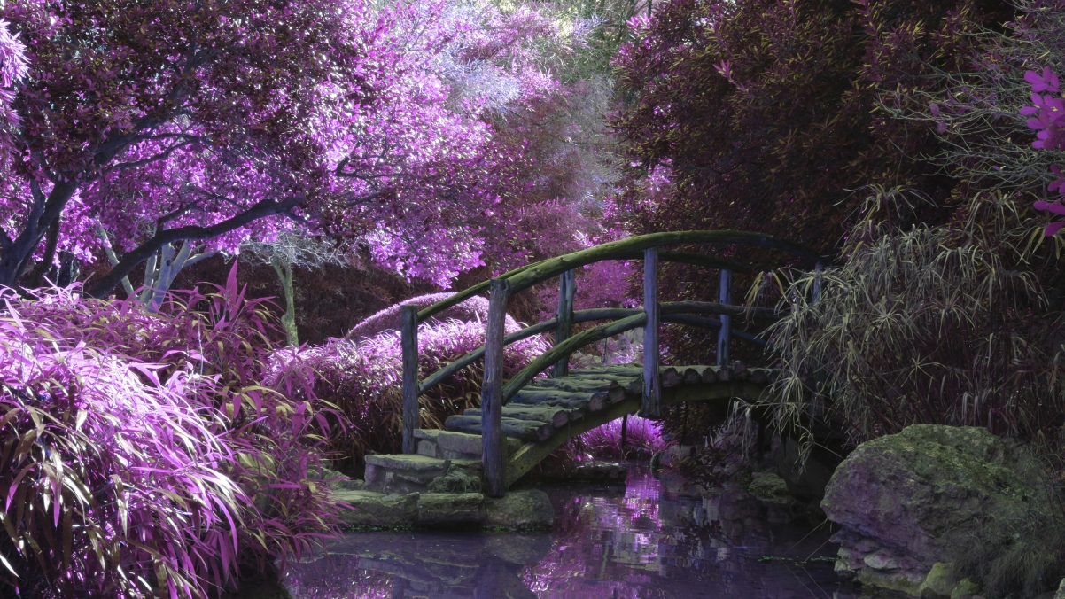 Forest river bridge 4K landscape wall