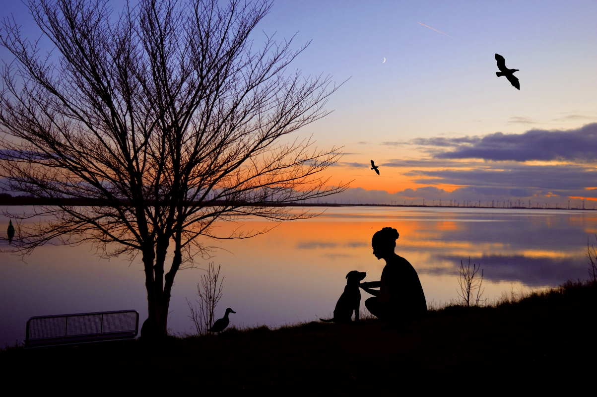 Woman cutting tree dog at sunset by the sea