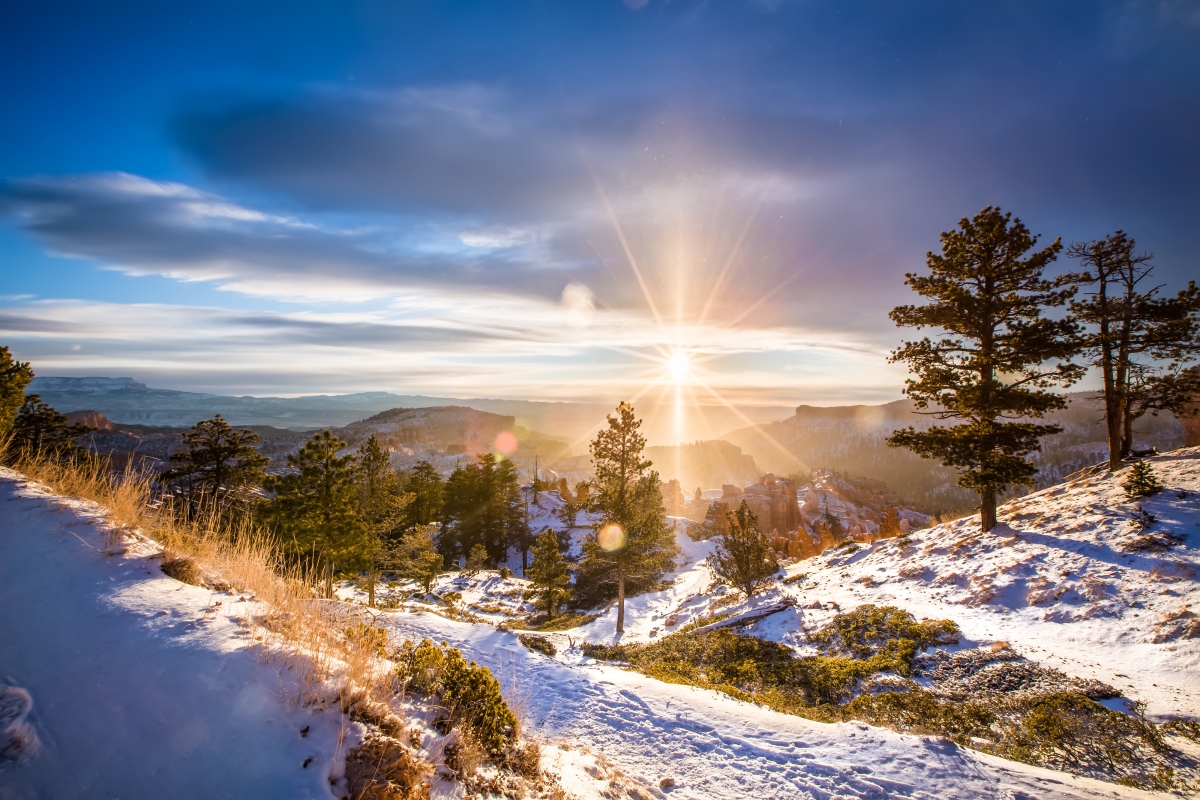 Sunrise Sunshine Winter 4K Landscape Wall