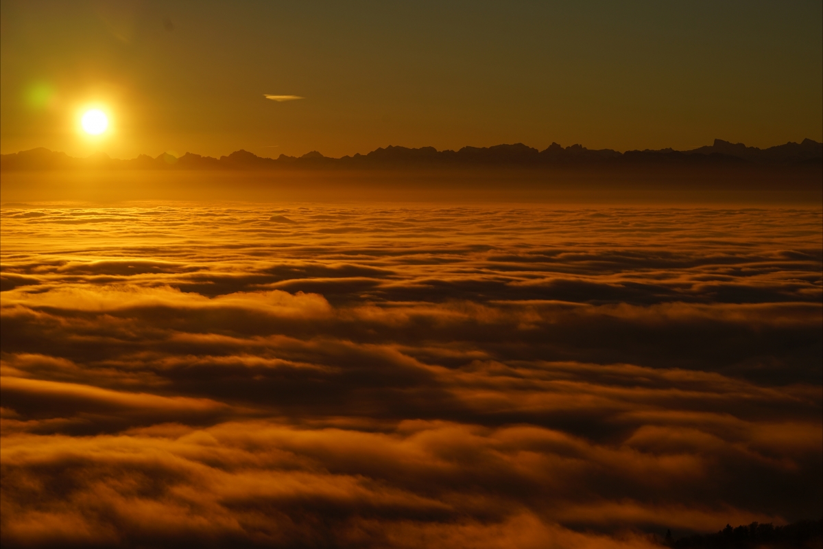 Sunrise Selva Ocean of Clouds