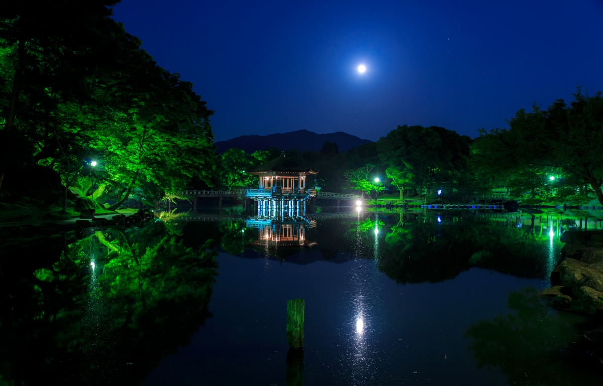 Japanese park, bridge, trees, moon, lights