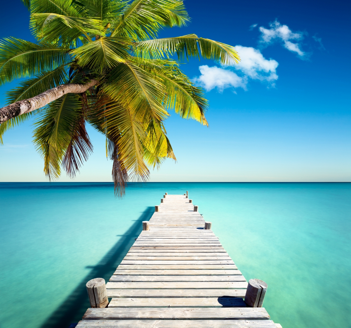 Tropical paradise, palm trees, pier, sea