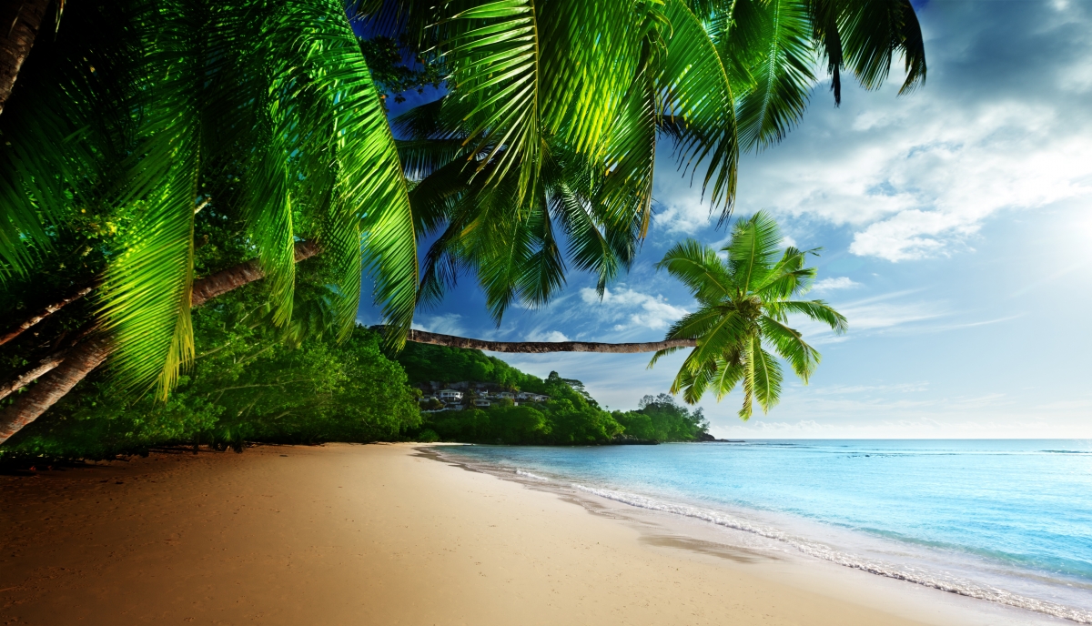 Tropical paradise, sun, beach, coast