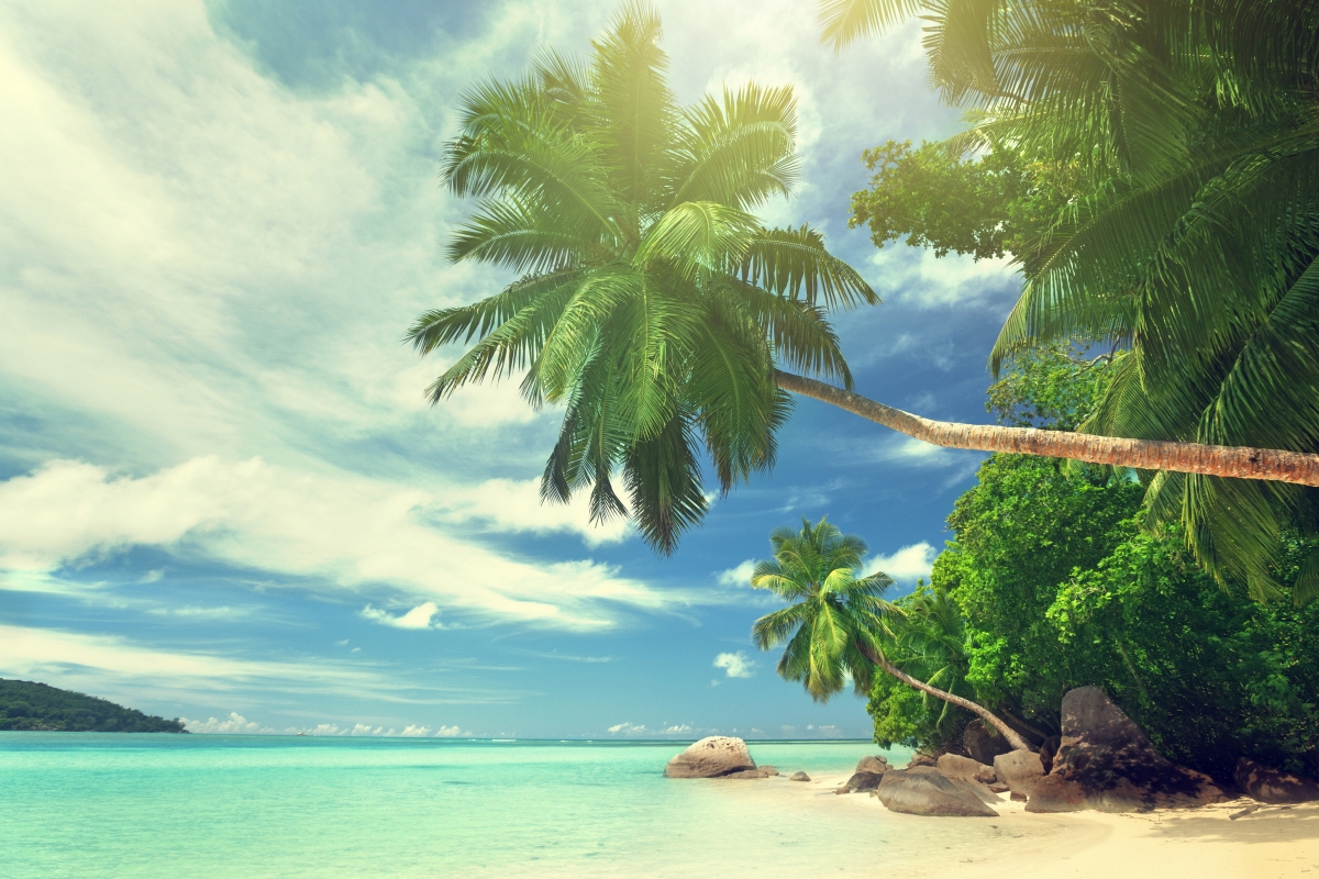 Tropical paradise, beach, coast, ocean