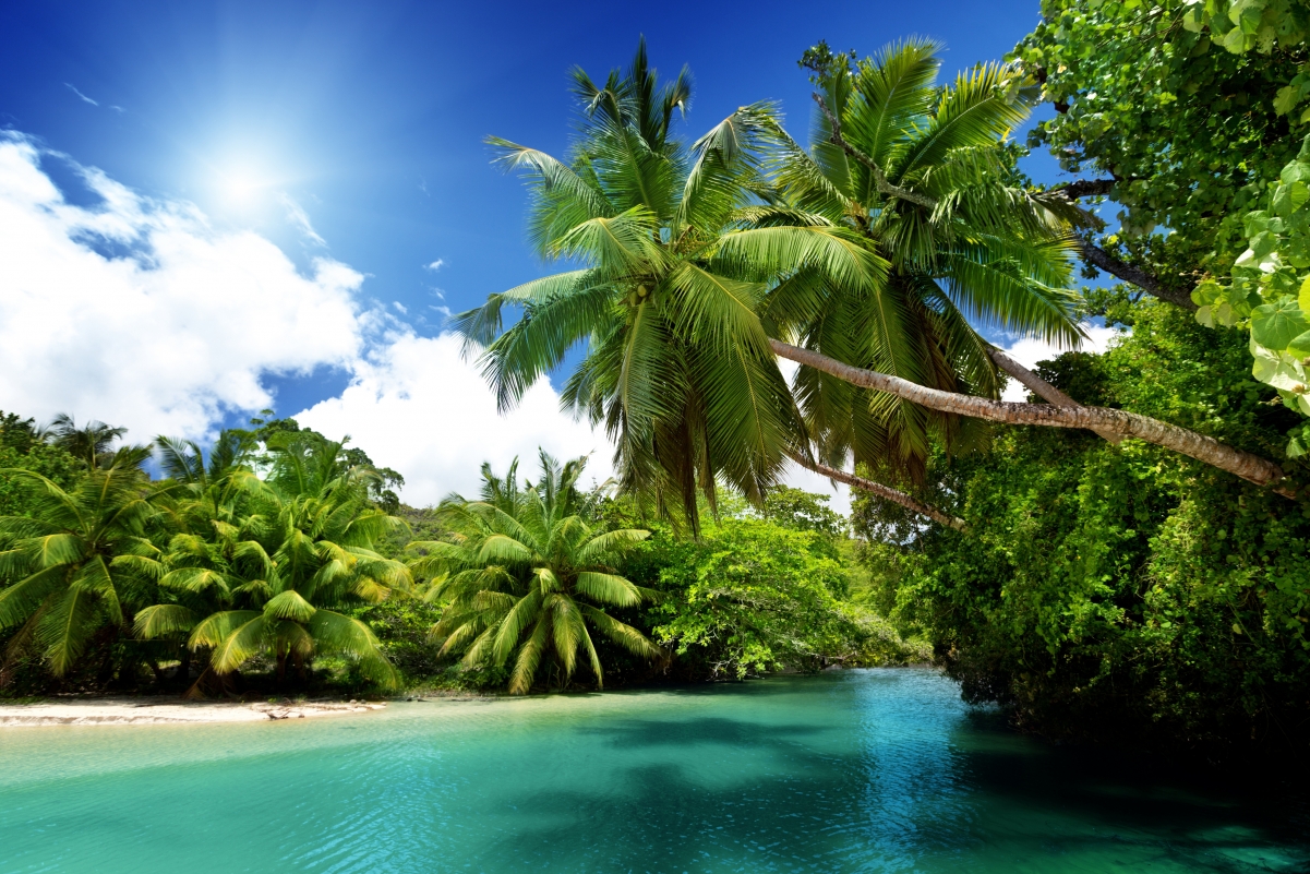 Tropical paradise, beach, sea, blue sky