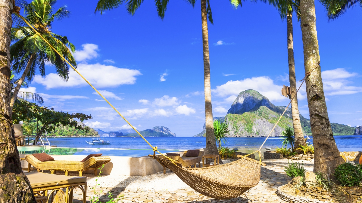 Tropical paradise beach palm tree sand