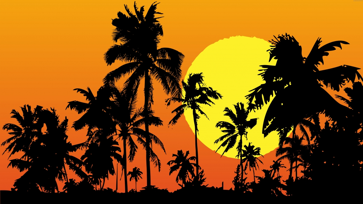 Tropical sunset landscape 8k wallpaper