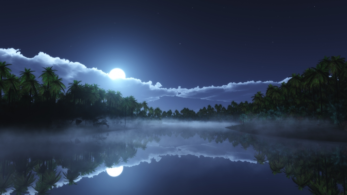 Tropical cold night 4k landscape