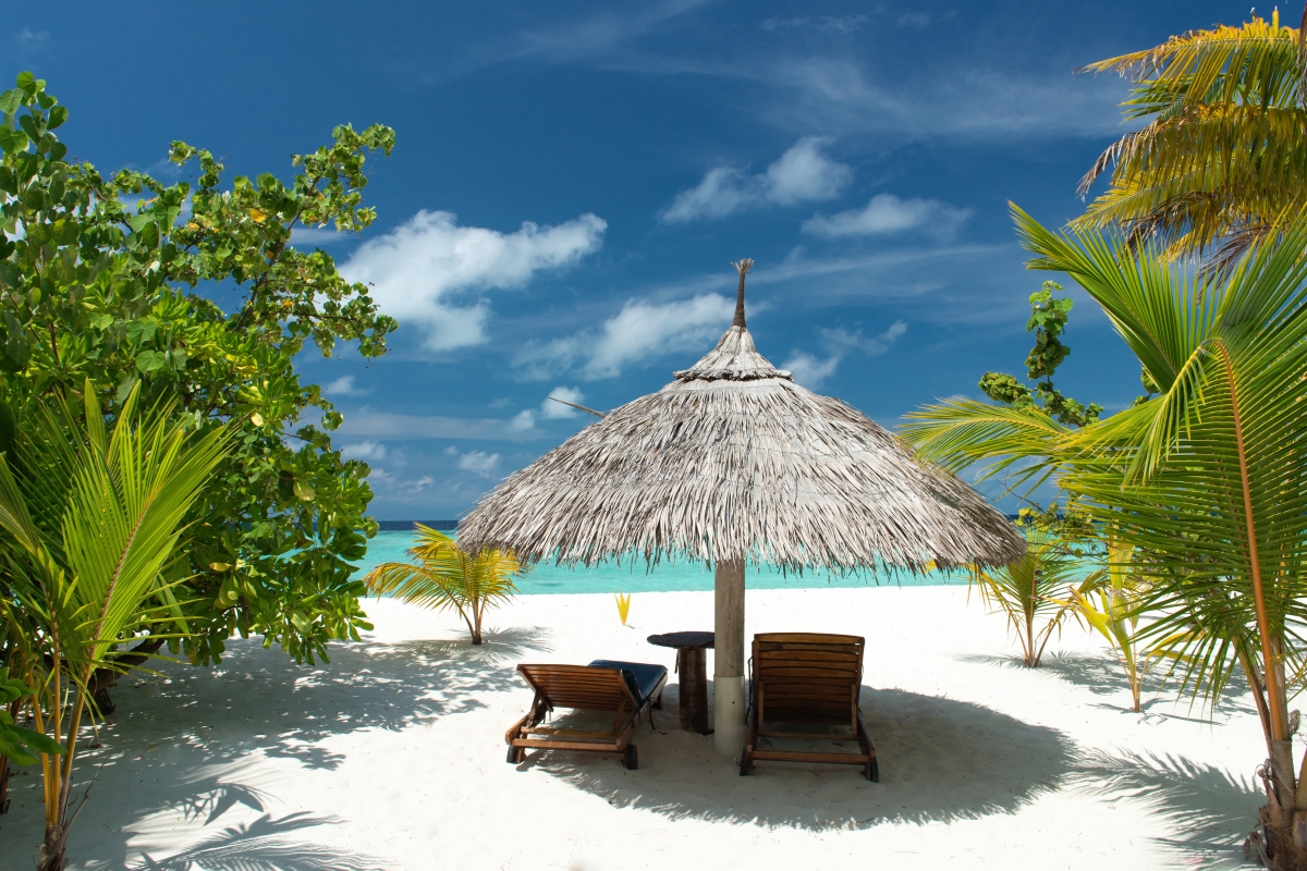 Tropical, beach, sea, palm trees,