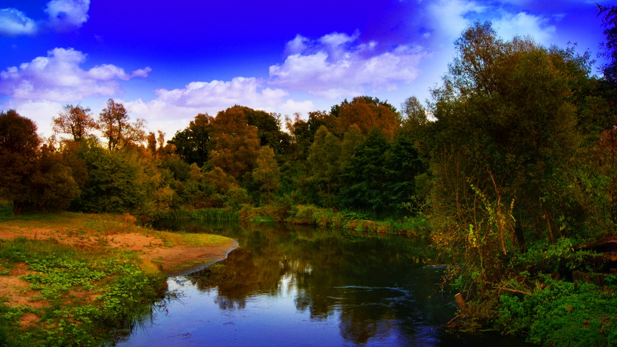 Autumn sky forest river landscape 4K