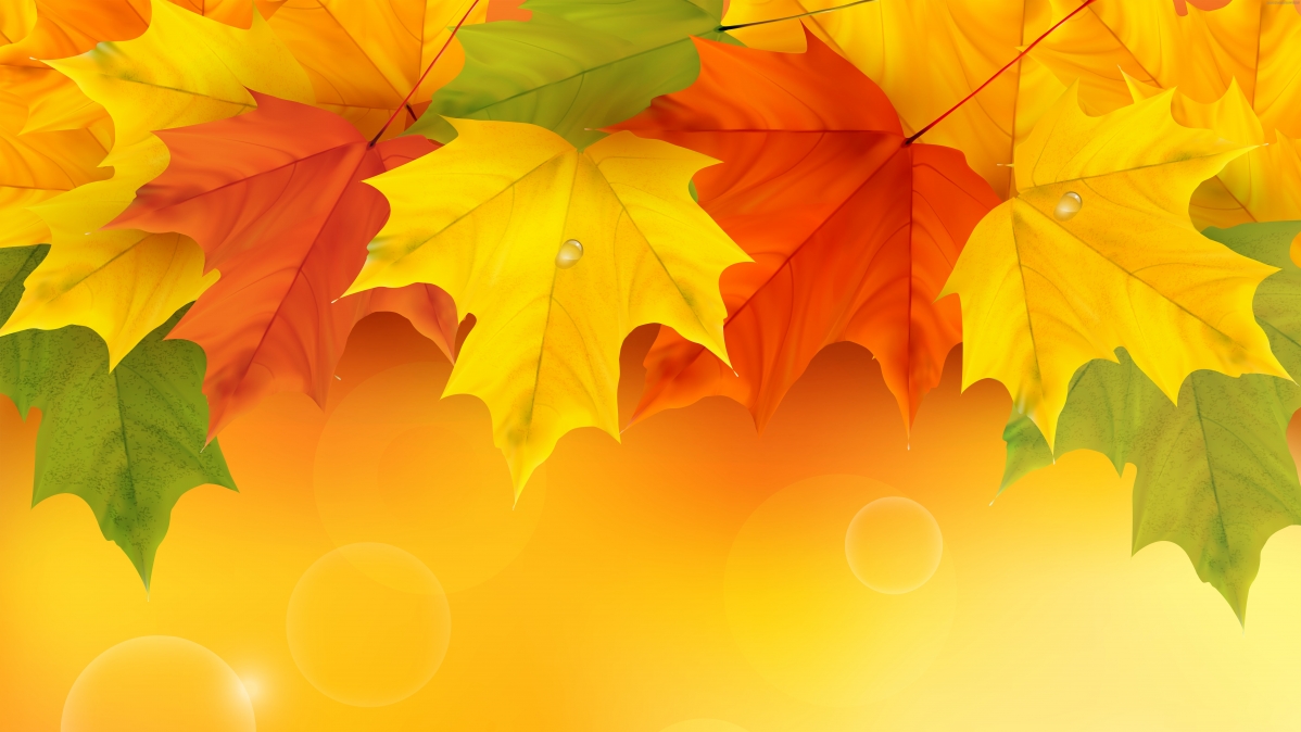 Autumn beautiful maple leaves background 8K wall