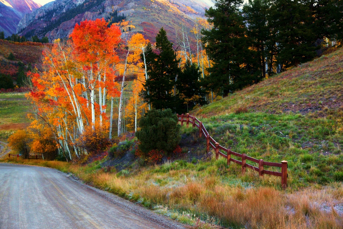 Autumn landscape mountain road fence