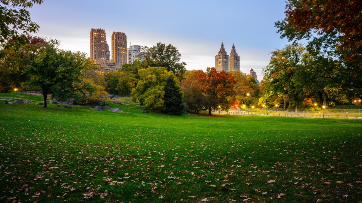 Autumn, leaves, trees, New York, USA