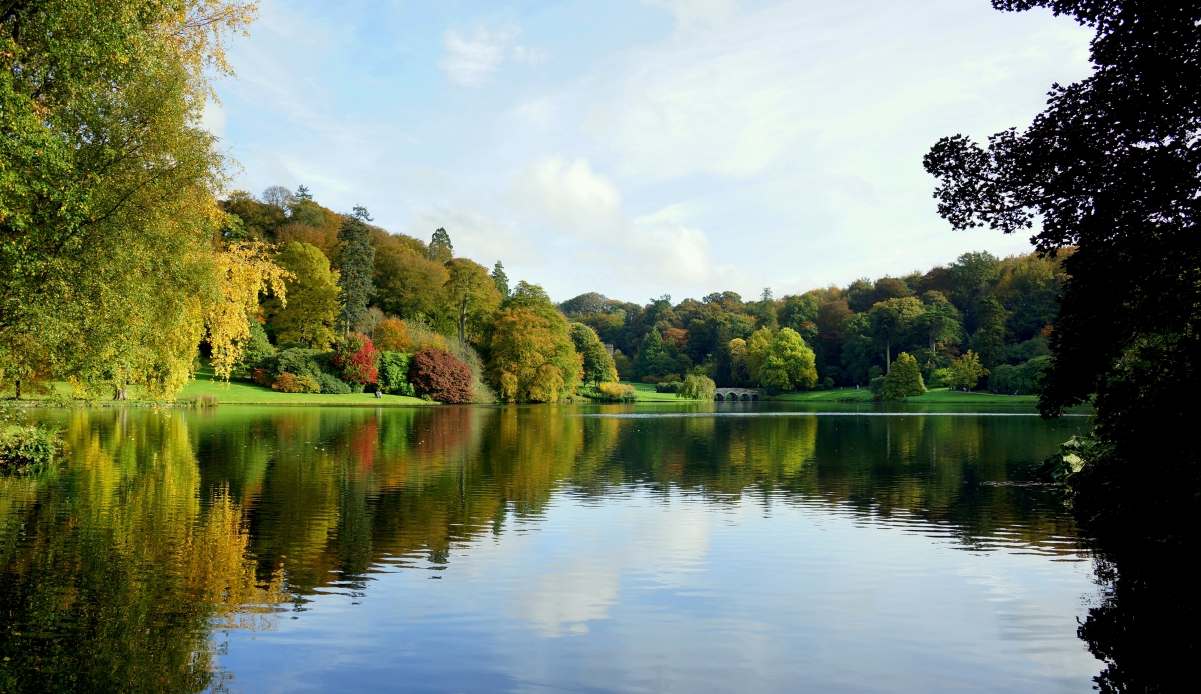 Autumn, park, trees, bridge, pool