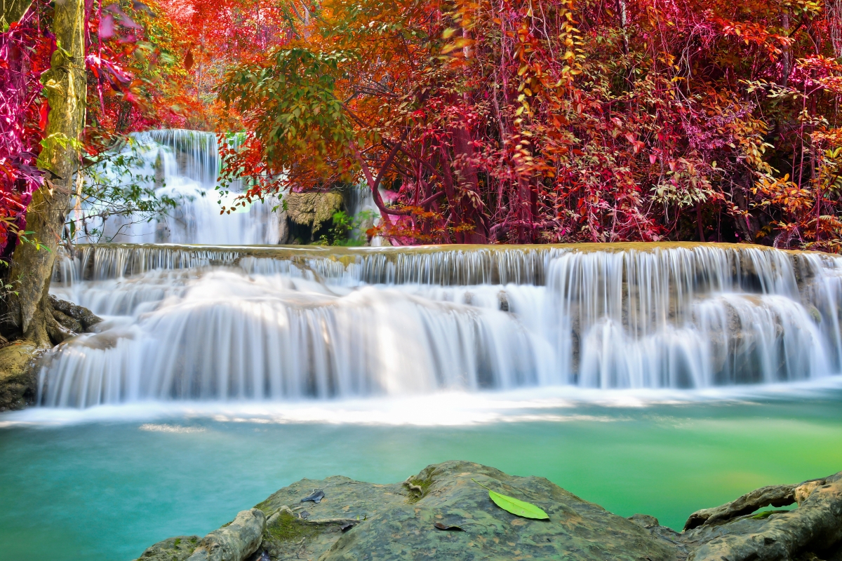 Autumn forest waterfall scenery 4K wall