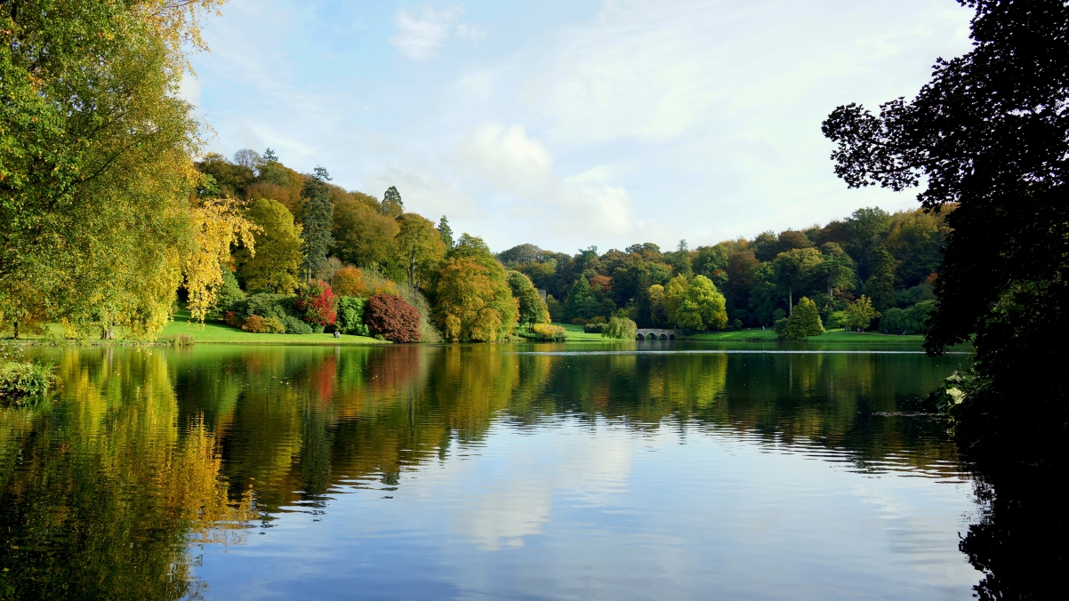 Autumn park trees pond bridge