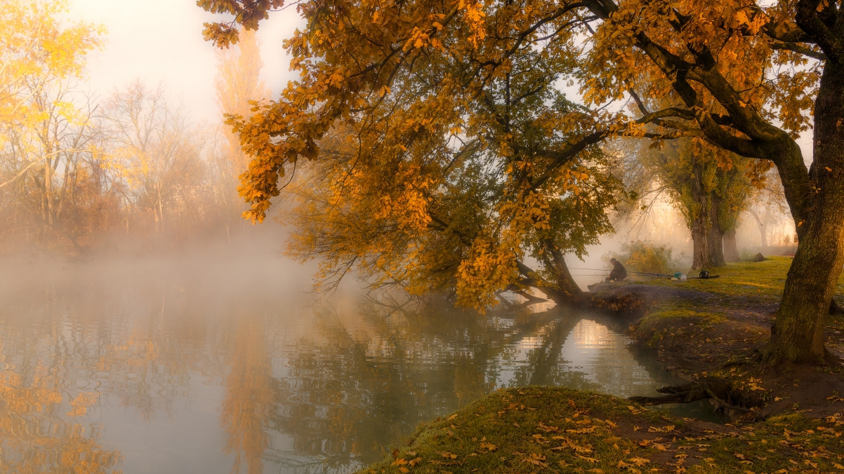 Autumn landscape in the city park in the early morning of autumn