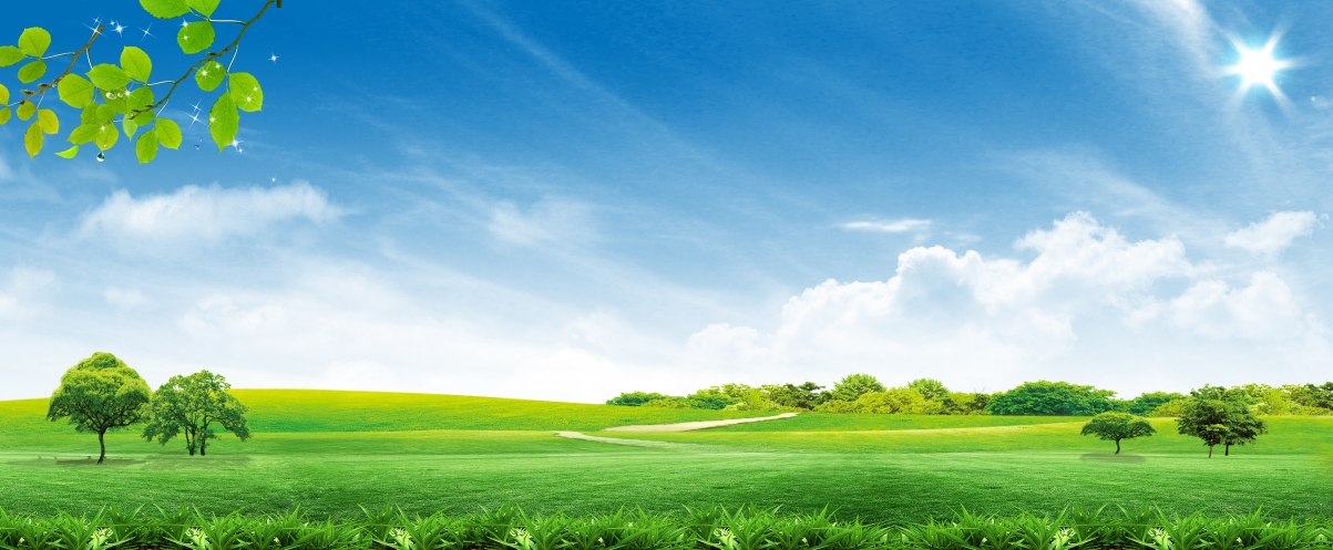 Fresh grassland scenery pictures