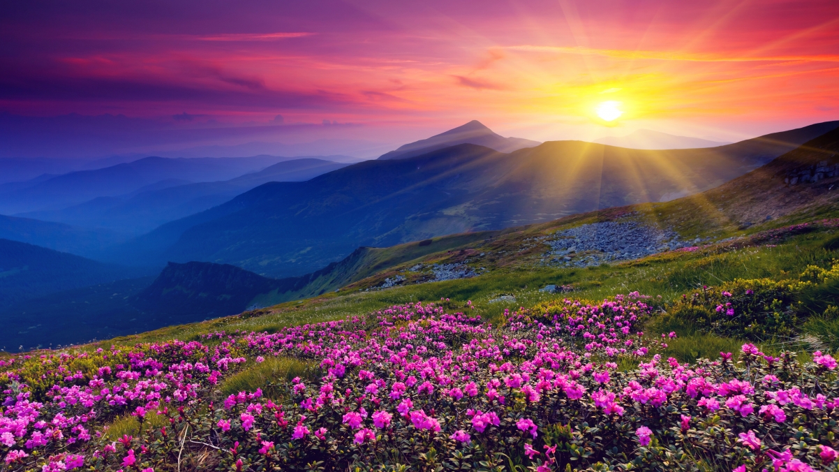 Green hills and green water, birds and flowers, dawn