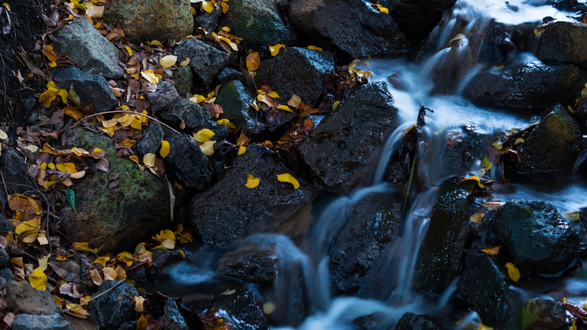 Waterfall, leaf, water, natural