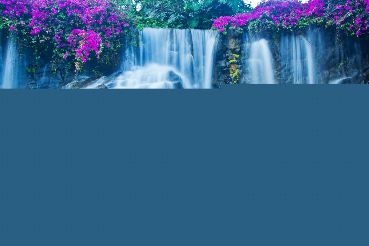 Waterfall Moss Flowers Stone 4K