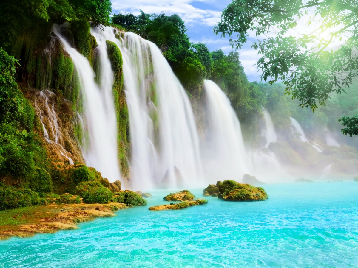 Beautiful waterfall scenery water trees