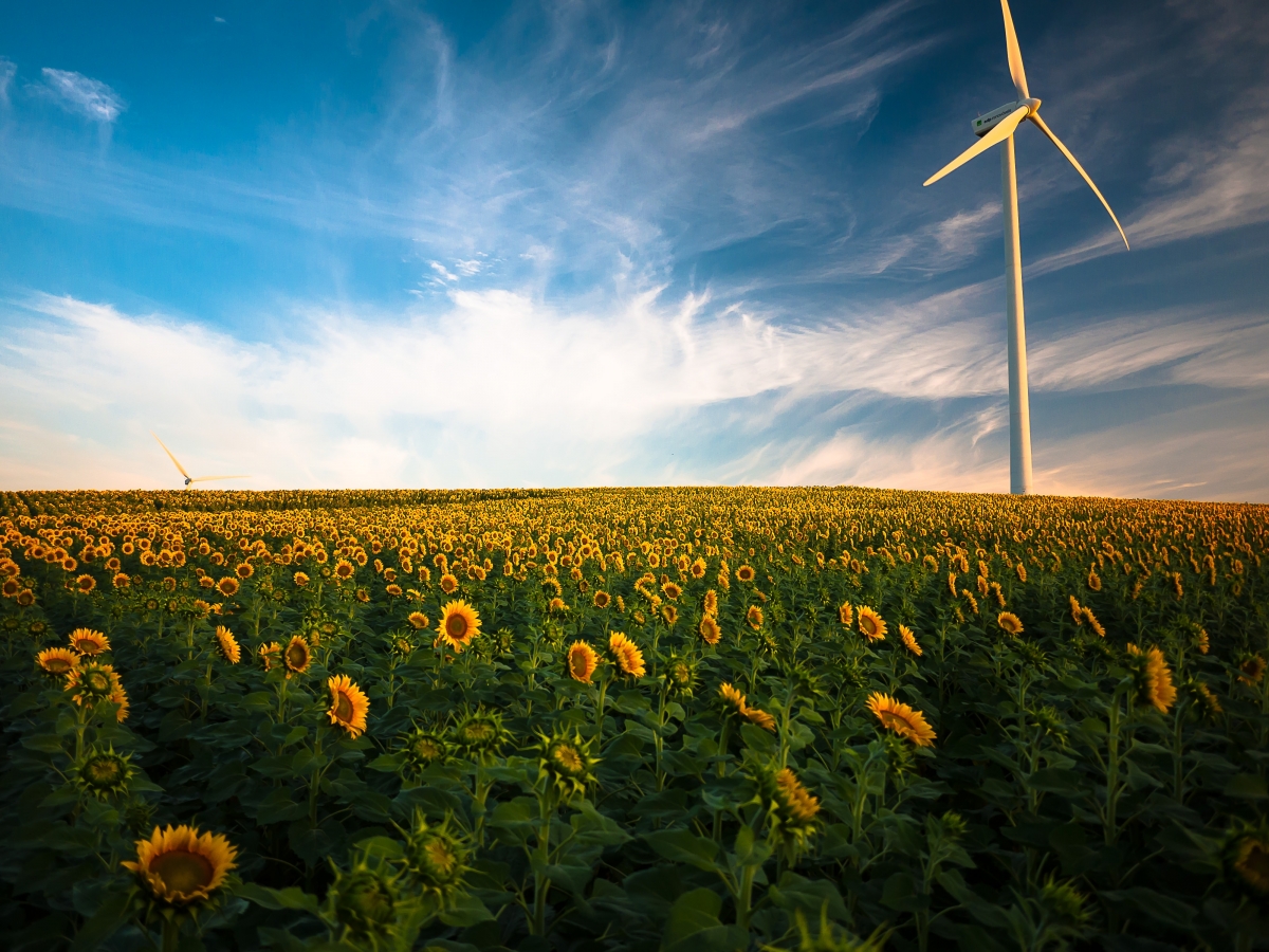 Agriculture beautiful cloud farm farmland