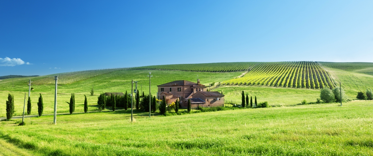 Farm blue sky green meadow scenery 34