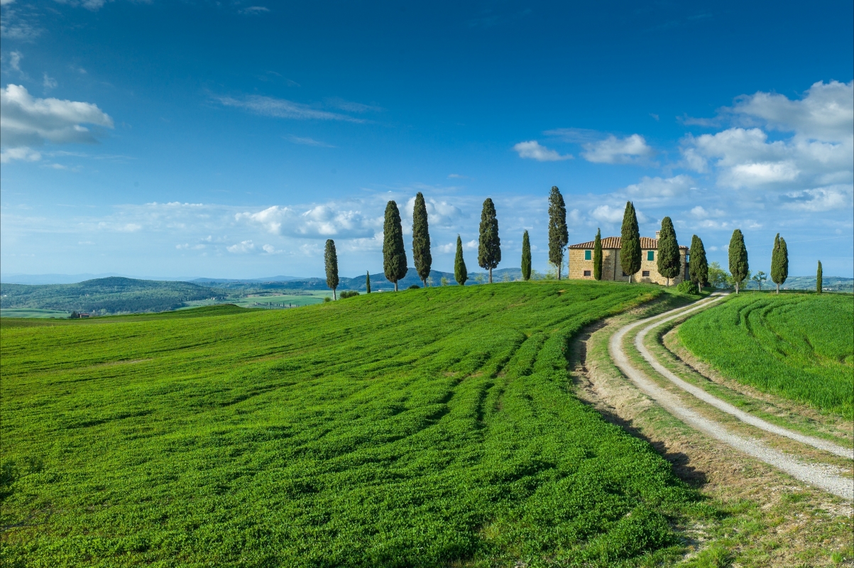Farm house road trees green grass