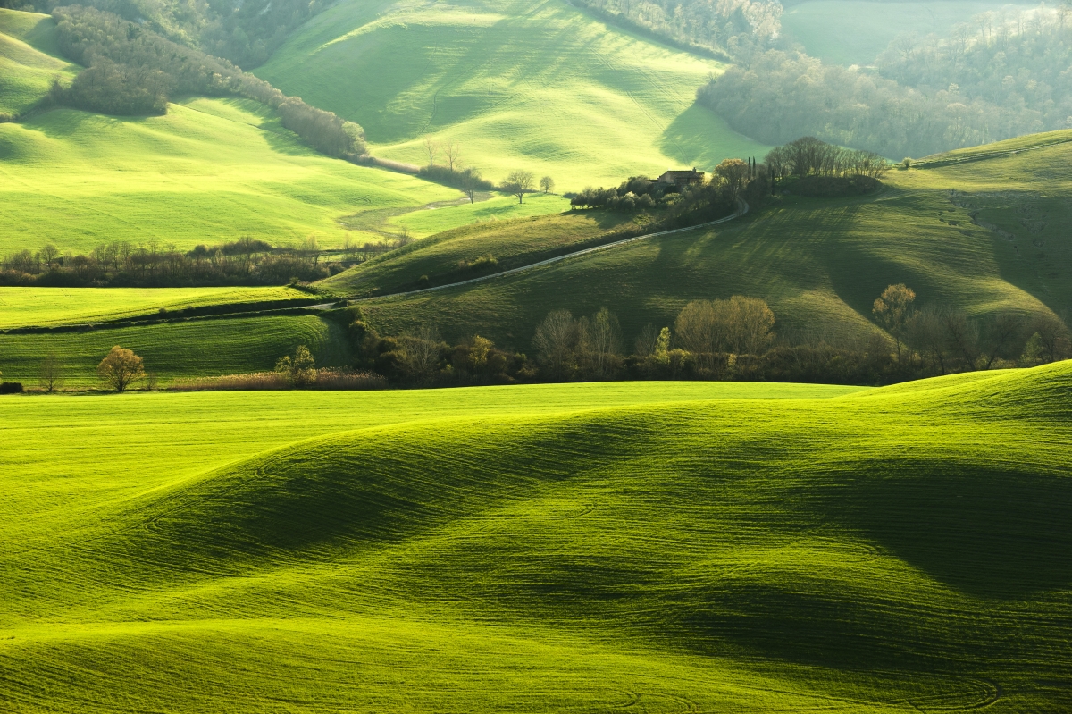 Farm in Tuscany, Italy