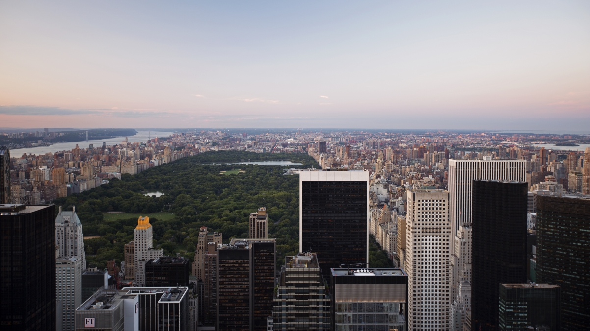 New York Central Park 3840x2160 wind