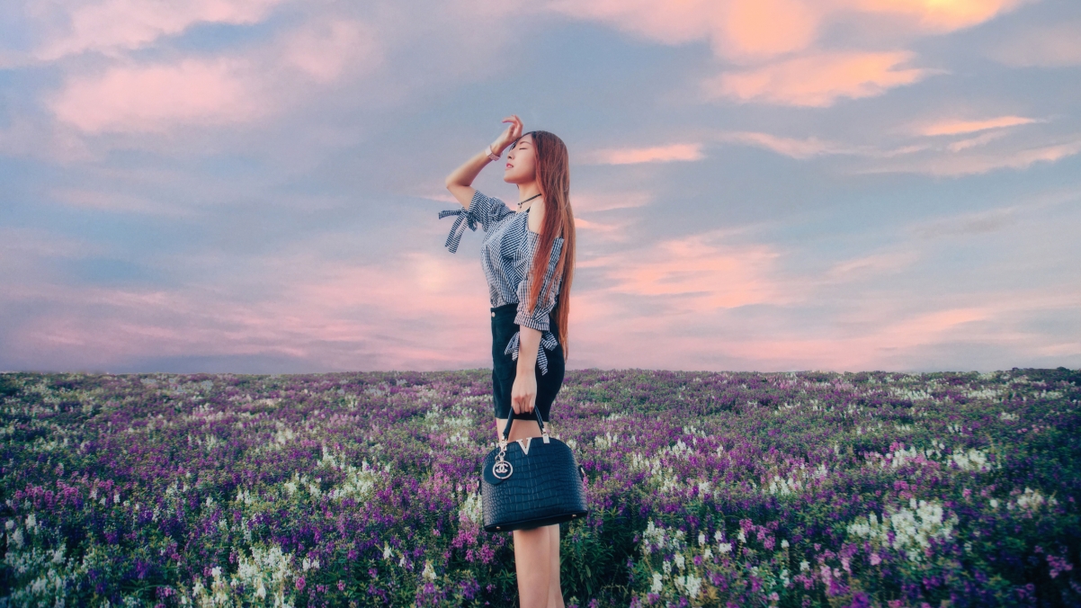 Beautiful Lavender Beautiful Scenery 4K Wall