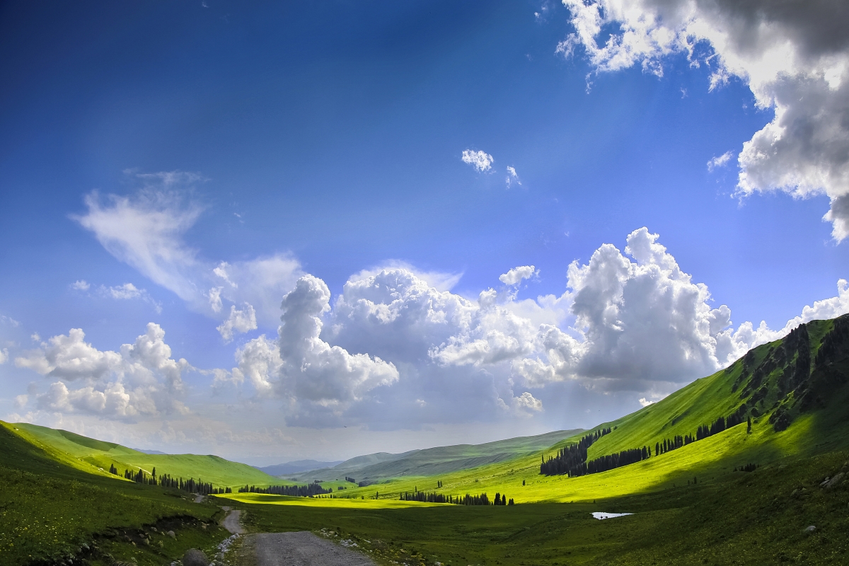 Beautiful blue sky grassland Xinjiang 4K wind
