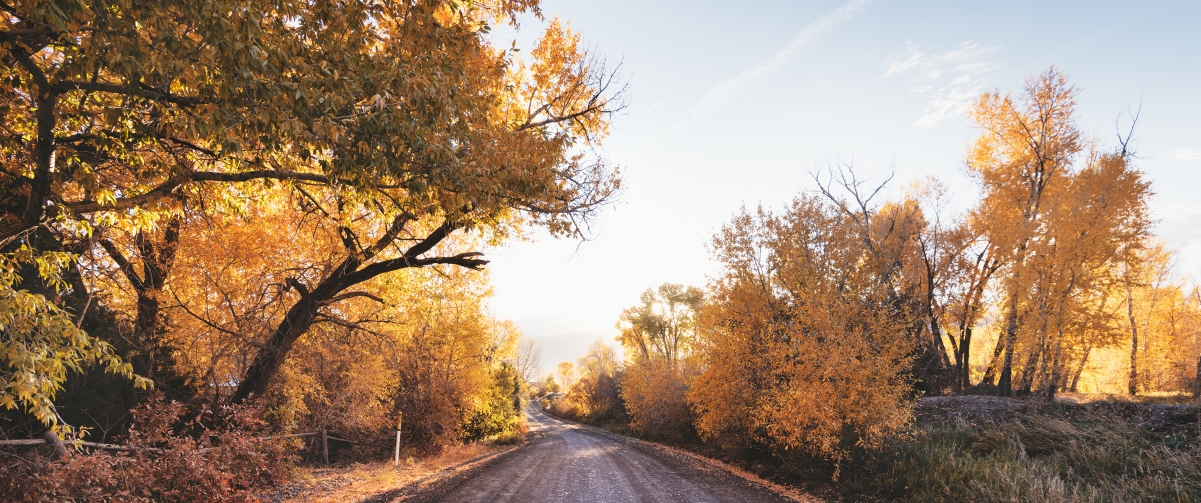 Autumn landscape in Colorado, USA