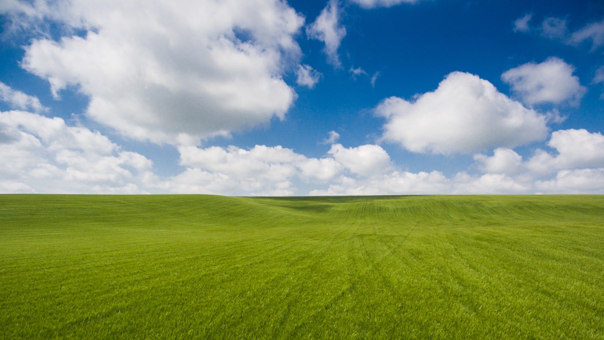 Wheat field with clouds and blue sky grassland landscape 4