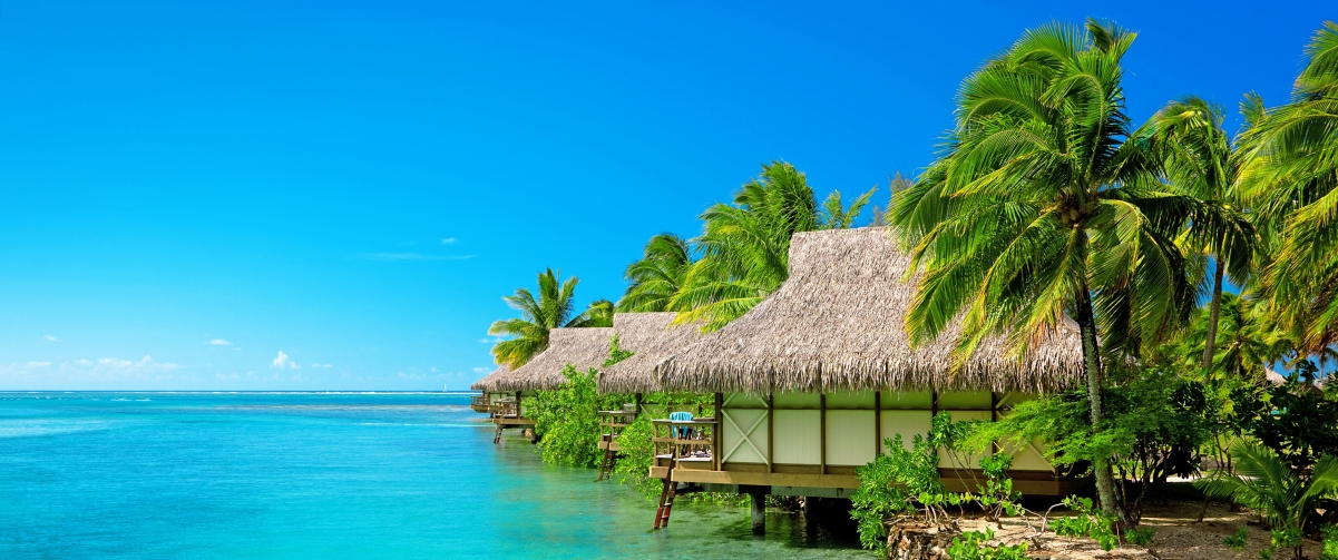 Maldives, palm trees, bungalows, sea