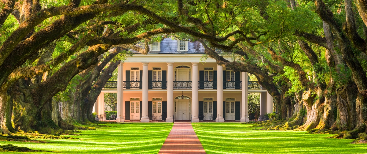 Green trail, big tree, villa lawn