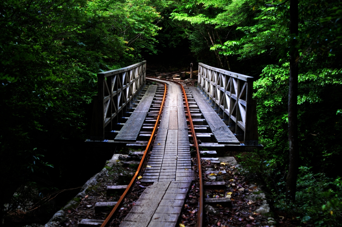 Green forest bridge railroad track landscape 4K wall