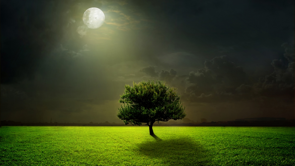 Green meadow trees clouds moon night