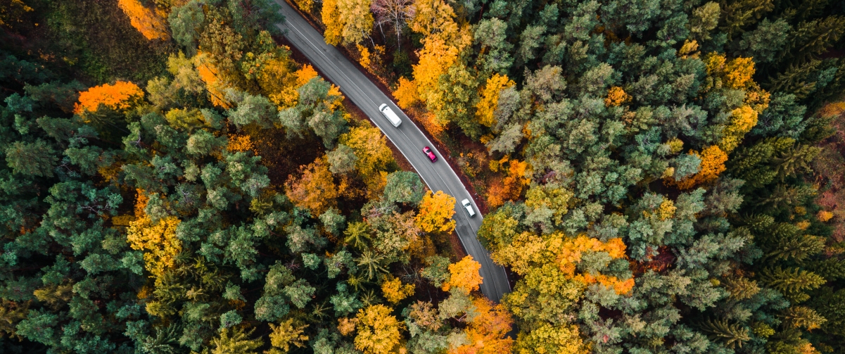 Road in the woods aerial photography 344