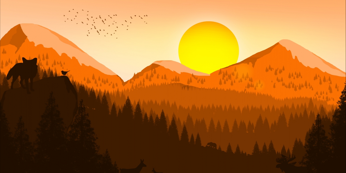 Dawn minimalist minimalist landscape