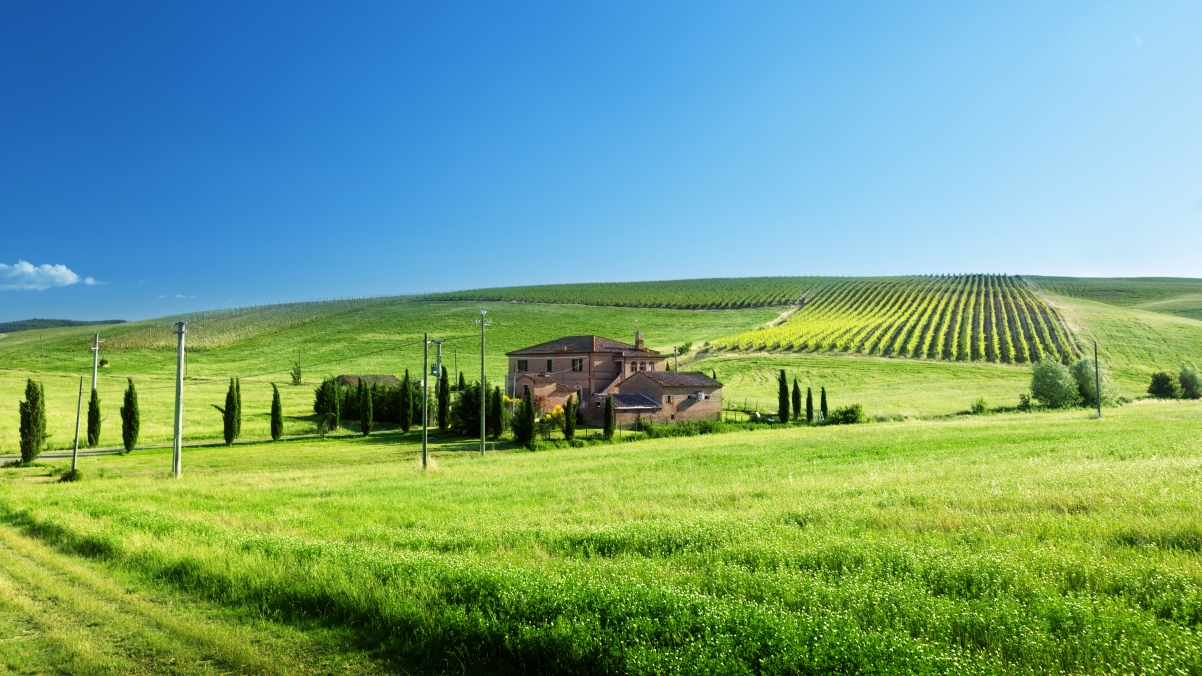 Blue sky green grass farm 4k landscape wall