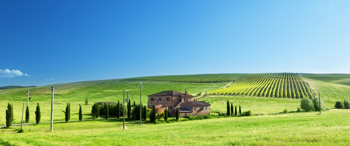 Blue sky and green grass farm 3440x144