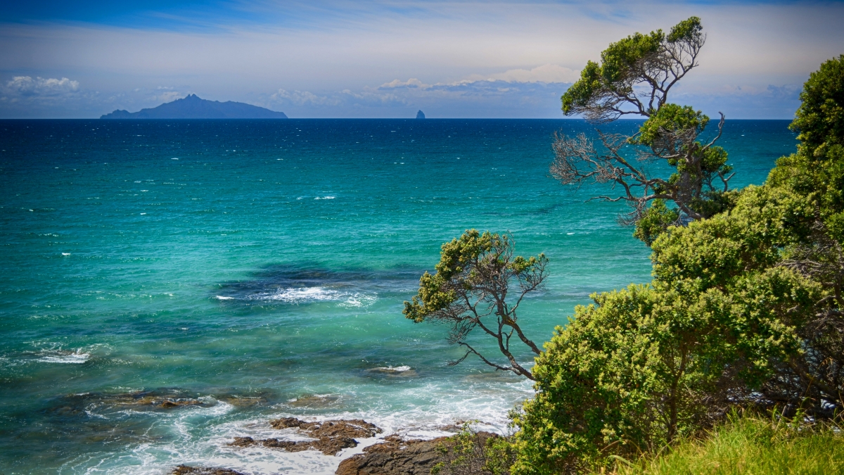 Blue sea cloud tree 4K landscape image