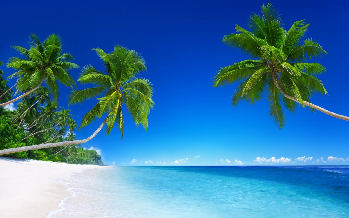 Blue sea sky tropical ocean