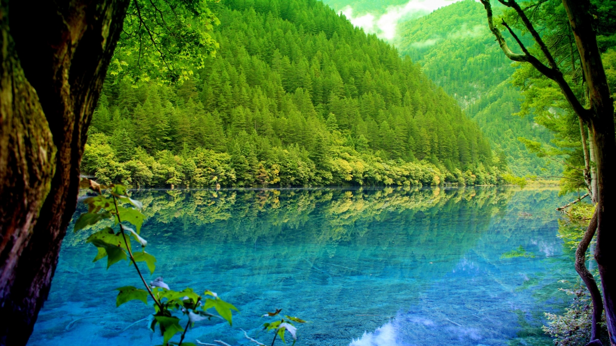 Jiuzhaigou scenery 4k wallpaper
